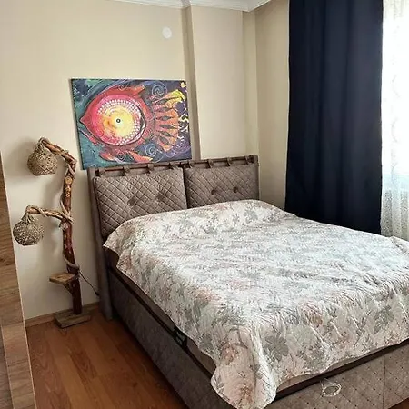 Apartment Xxx
